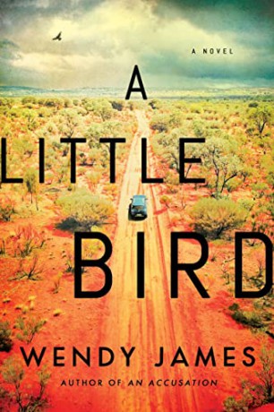 A Little Bird: A Novel - Wendy James [KSIĄŻKA]