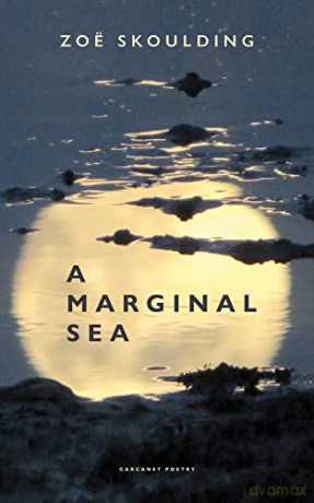 A Marginal Sea - Zoë Skoulding [KSIĄŻKA]
