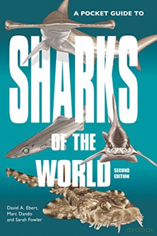 A Pocket Guide to Sharks of the World: Second Edition: 23 (Wild Nature Press) - David A. Ebert [KSIĄŻKA]