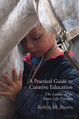 A Practical Guide to Curative Education: The Ladder of the Seven Life Processes - Robyn Brown [KSIĄŻKA]