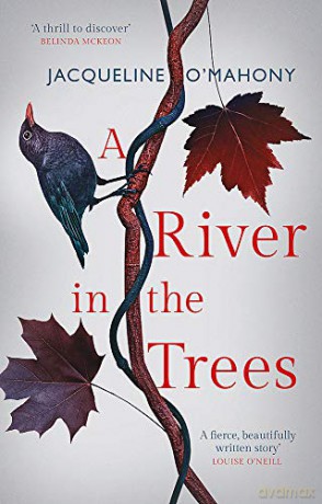A River in the Trees - Jacqueline O'Mahony [KSIĄŻKA]