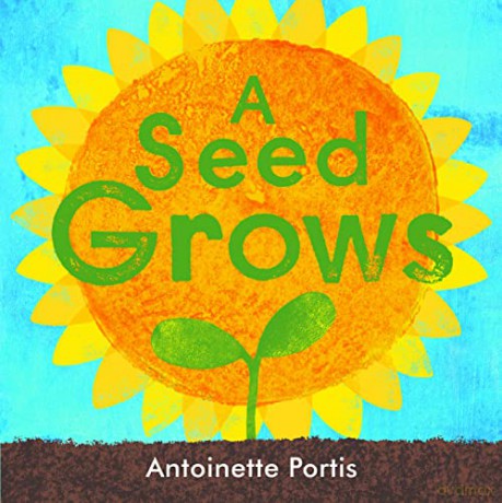 A seed grows - Antoinette Portis [KSIĄŻKA]