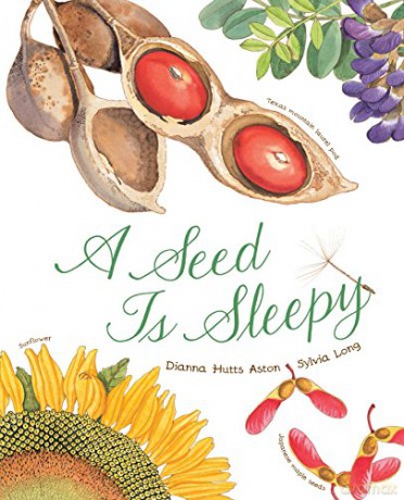 A Seed Is Sleepy: (Nature Books for Kids, Environmental Science for Kids) (Family Treasure Nature Encylopedias) - Dianna Aston [KSIĄŻKA]