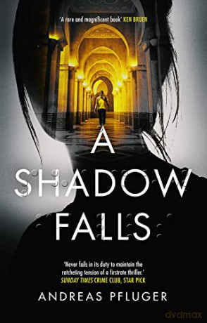 A Shadow Falls (A Jenny Aaron Thriller): 2 - Andreas Pflüger [KSIĄŻKA]