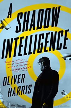 A Shadow Intelligence [KSIĄŻKA]