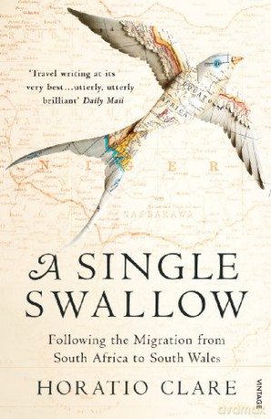 A Single Swallow: Following An Epic Journey From South Africa To South Wales - Horatio Clare [KSIĄŻKA]