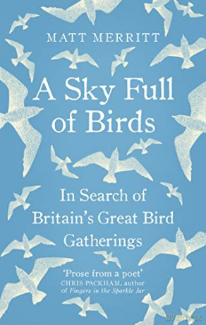 A Sky Full of Birds - Matt Merritt [KSIĄŻKA]