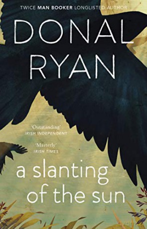A Slanting of the Sun: Stories - Donal Ryan [KSIĄŻKA]