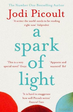 A Spark of Light: THE NUMBER ONE SUNDAY TIMES BESTSELLER: The must-read, heart-stopping pick for summer 2022 - Jodi Picoult [KSIĄŻKA]