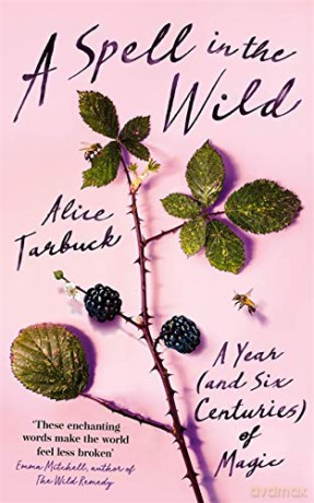 A Spell in the Wild: A Year (and six centuries) of Magic - Alice Tarbuck [KSIĄŻKA]