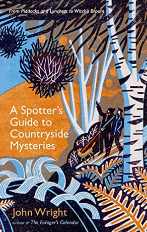 A Spotter's Guide to Countryside Mysteries: From Piddocks and Lynchets to Witch's Broom - John Wright [KSIĄŻKA]