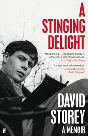 A Stinging Delight: A Memoir - David Storey [KSIĄŻKA]