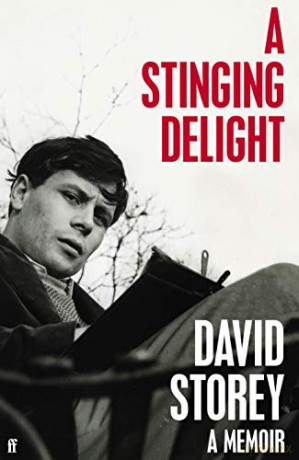 A Stinging Delight: A Memoir - David Storey [KSIĄŻKA]