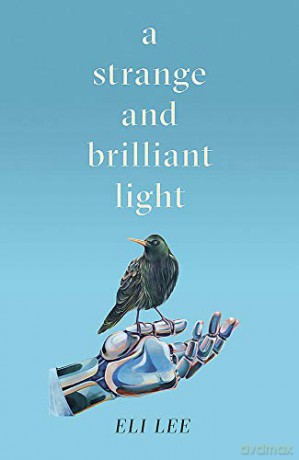 A Strange and Brilliant Light: Winner of the Writers' Guild Best First Novel Award - Eli Lee [KSIĄŻKA]