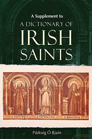 A Supplement to a Dictionary of Irish Saints: Containing Additions and Corrections - Padraig O Riain [KSIĄŻKA]