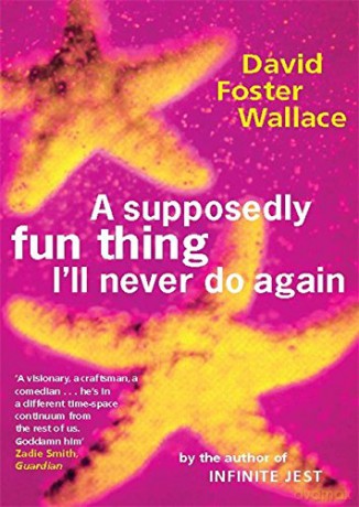 A Supposedly Fun Thing I'll Never Do Again: David Foster Wallace - Foster Wallace [KSIĄŻKA]