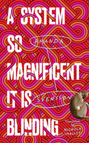 A System So Magnificent It Is Blinding - Amanda Svensson [KSIĄŻKA]