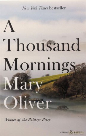 A Thousand Mornings - Mary Oliver [KSIĄŻKA]