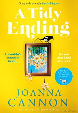 A Tidy Ending: The funny new dark comedy from the Sunday Times bestseller - Joanna Cannon [KSIĄŻKA]