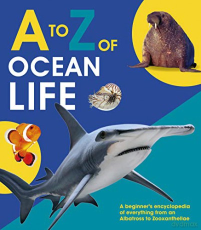 A to Z of Ocean Life (A-Z) [KSIĄŻKA]