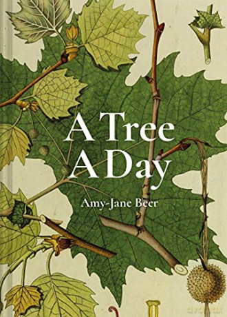 A Tree A Day - Amy-Jane Beer [KSIĄŻKA]