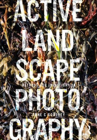 Active Landscape Photography: Methods for Investigation - Anne Godfrey [KSIĄŻKA]
