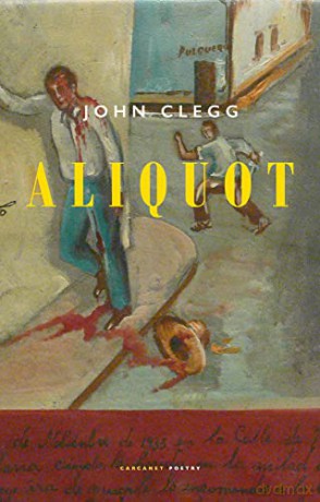 Aliquot - John Clegg [KSIĄŻKA]