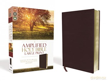 AMPLIFIED THINLINE BIBLE LP BN BND BRG: Captures the Full Meaning Behind the Original Greek and Hebrew - Lockman Foundation [KSIĄŻKA]
