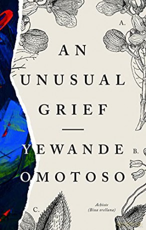 An Unusual Grief - Yewande Omotoso [KSIĄŻKA]