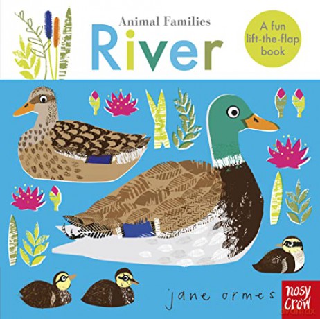 Animal Families: River - Jane Ormes [KSIĄŻKA]