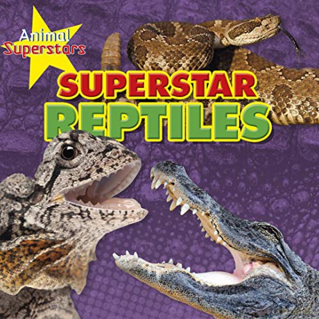 Animal Superstars: Reptile Superstars - Louise Spilsbury [KSIĄŻKA]