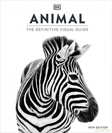 Animal: The Definitive Visual Guide [KSIĄŻKA]