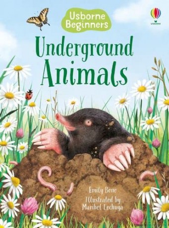 Animals Under the Ground (Beginners): 1 - Emily Bone [KSIĄŻKA]