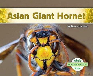 Asian Giant Hornet (Incredible Insects) - Grace Hansen [KSIĄŻKA]