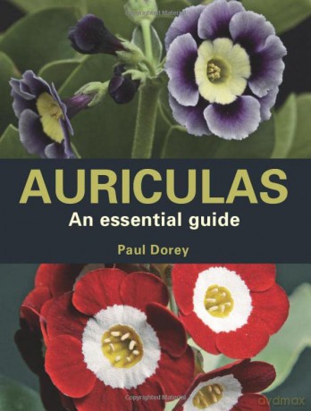 Auriculas: An Essential Guide - Paul Dorey [KSIĄŻKA]