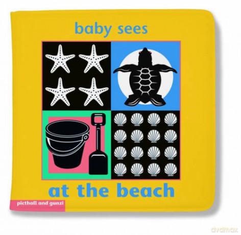 BABY SEES BATH BOOK AT THE BEACH - Chez Picthall [KSIĄŻKA]