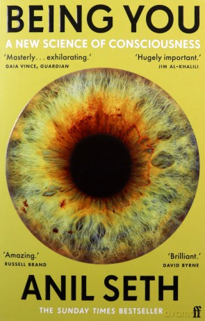 Being You: A New Science of Consciousness (The Sunday Times Bestseller) - Professor Anil Seth [KSIĄŻKA]