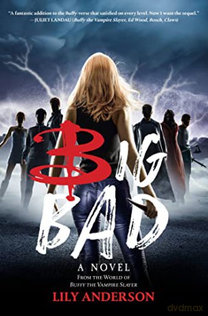 Big Bad - Lily Anderson [KSIĄŻKA]