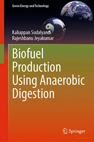 Biofuel Production Using Anaerobic Digestion (Green Energy and Technology) - Kaliappan Sudalyandi [KSIĄŻKA]