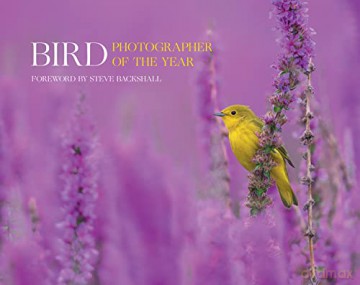 Bird Photographer of the Year: Collection 7 (Bird Photographer of the Year, 7) - Bird Photographer of the Year [KSIĄŻKA]