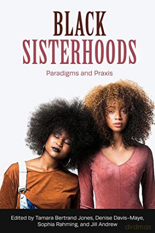 Black Sisterhoods: Paradigms and Praxis - Denise Davis Maye [KSIĄŻKA]