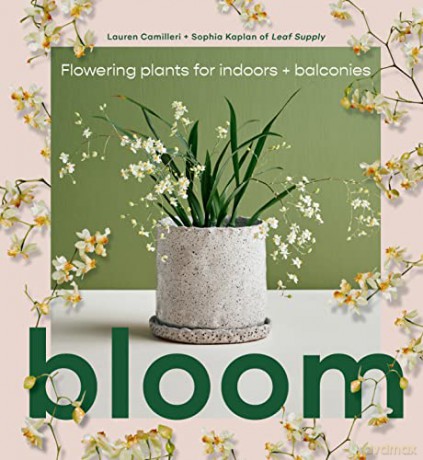 Bloom: Flowering plants for indoors and balconies - Lauren Camilleri [KSIĄŻKA]