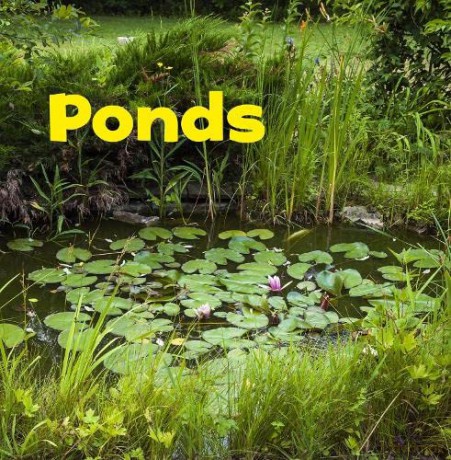 Bodies of Water: Ponds - Erika L. Shores [KSIĄŻKA]