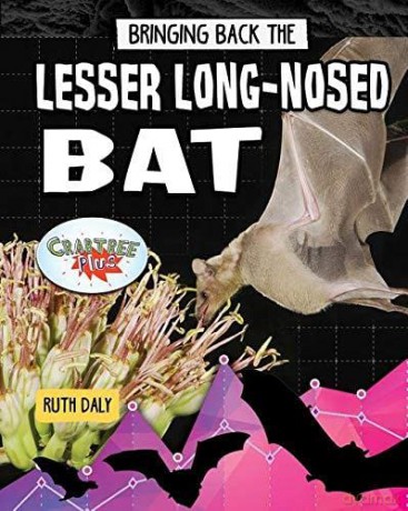 Bringing Back the Lesser Long-Nosed Bat (Animals Back from the Brink) - Ruth Daly [KSIĄŻKA]