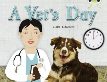 Bug Club Guided Non Fiction Year 1 Green B A Vet's Day - Claire Llewellyn [KSIĄŻKA]
