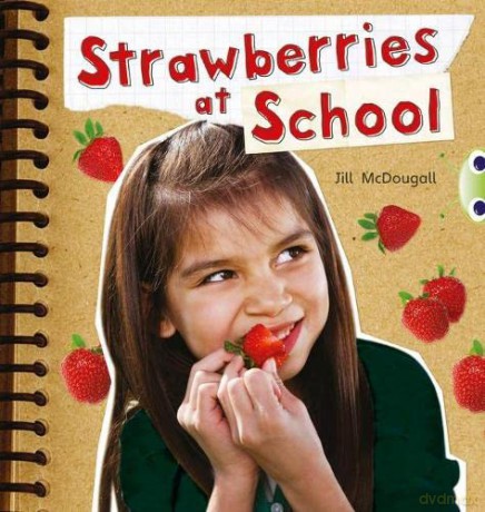 Bug Club Guided Non Fiction Year 2 Orange B Strawberries at School - Jill McDougall [KSIĄŻKA]