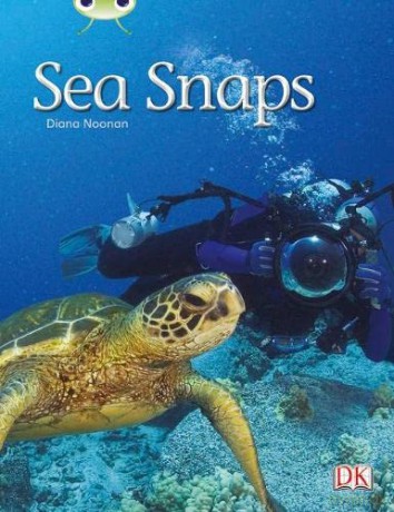 Bug Club Independent Non Fiction Year 1 Green A Sea Snaps - Diana Noonan [KSIĄŻKA]