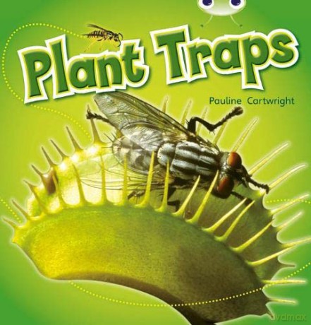 Bug Club NF Blue (KS1) B/1B Plant Traps - Pauline Cartwright [KSIĄŻKA]