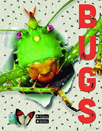 Bugs - Elizabeth Cranford [KSIĄŻKA]