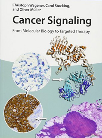 Cancer Signaling: From Molecular Biology to Targeted Therapy - Christoph Wagener [KSIĄŻKA]
